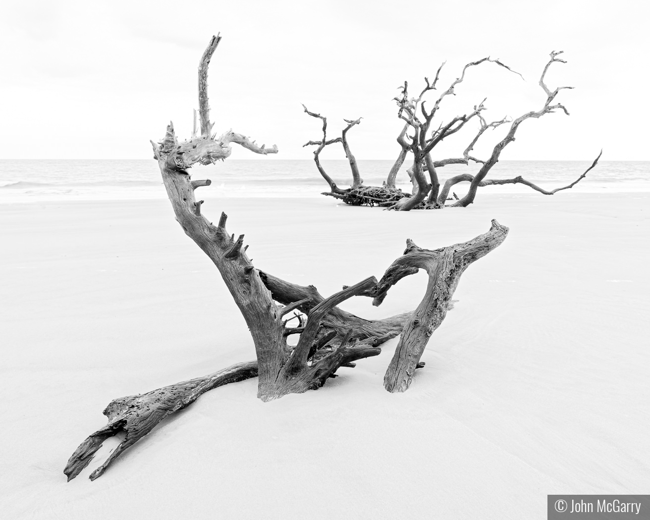 Driftwood Beach in High Key by John McGarry