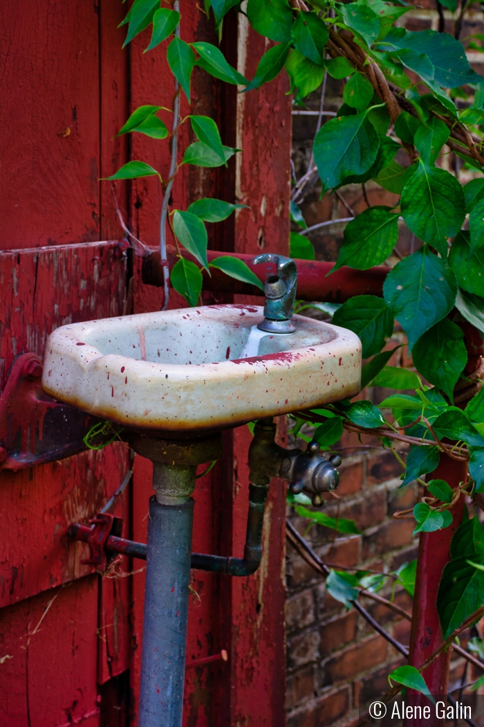 Drinks are on the House by Alene Galin