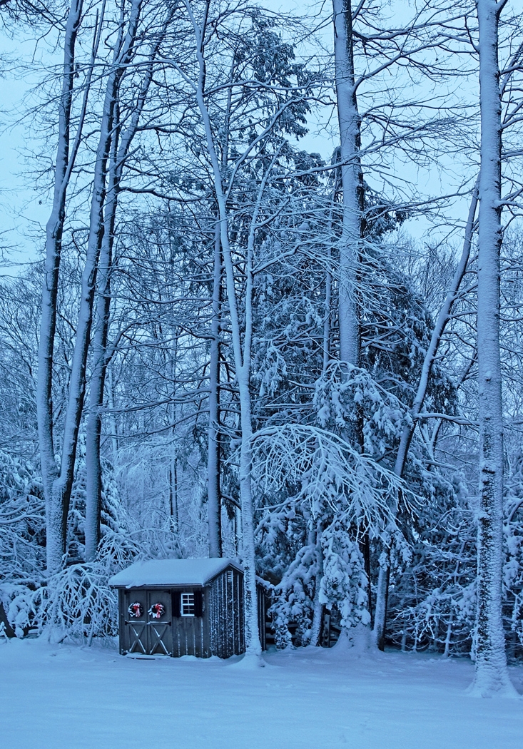 Earley Morning Snow by Bruce Metzger