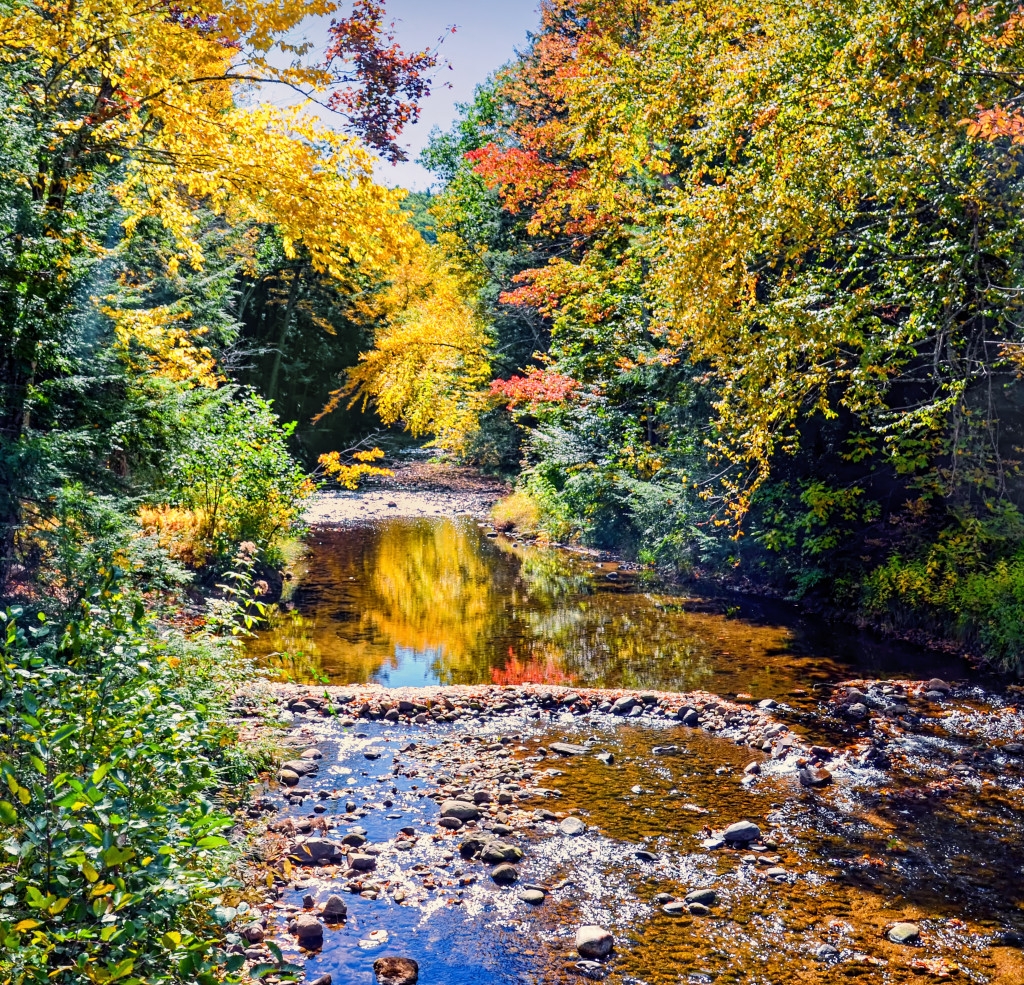 Early Autumn in McLean Wildlife Sanctuary by Louis Arthur Norton