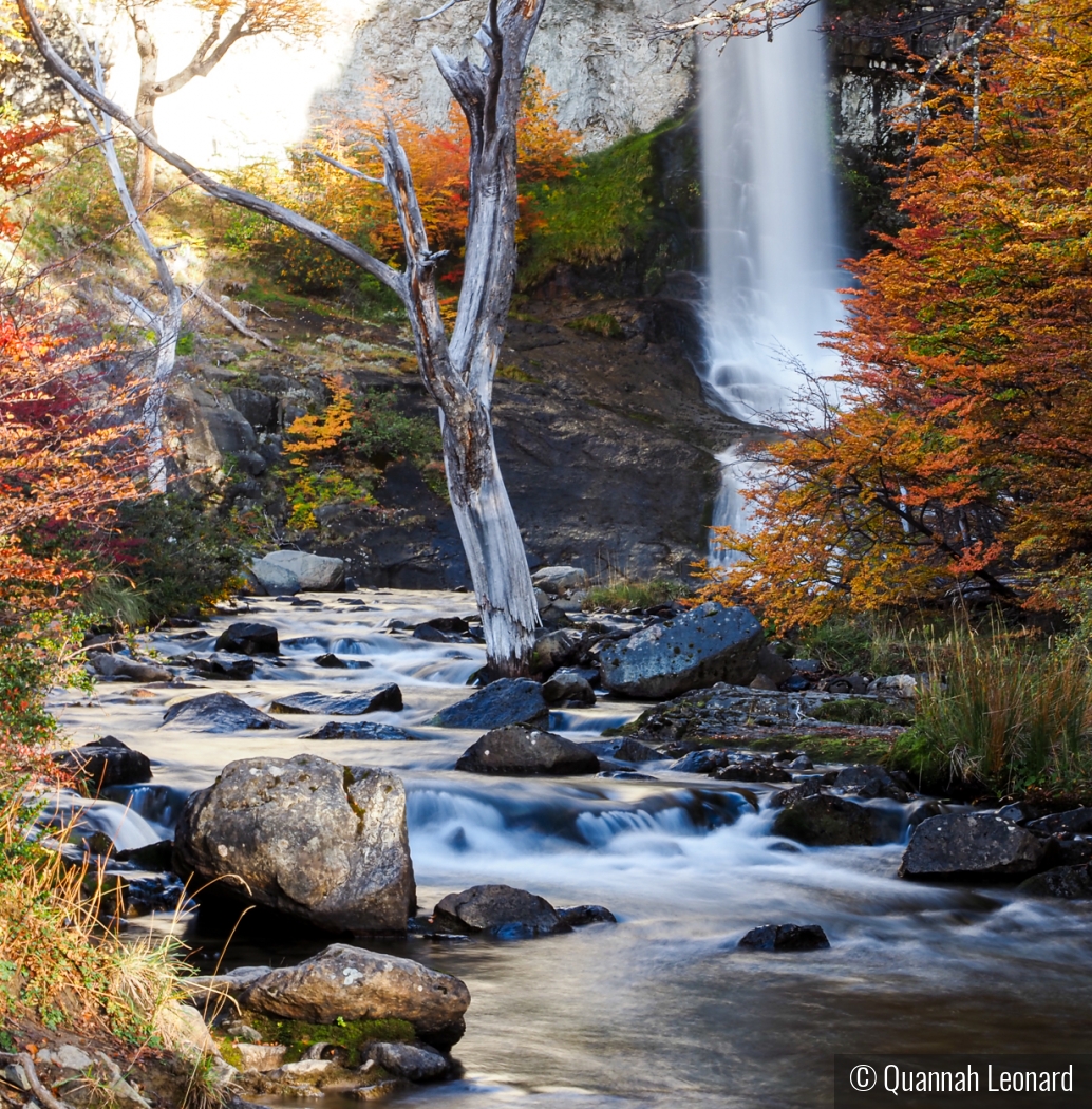 Early Morning Waterfall in Patagonia by Quannah Leonard