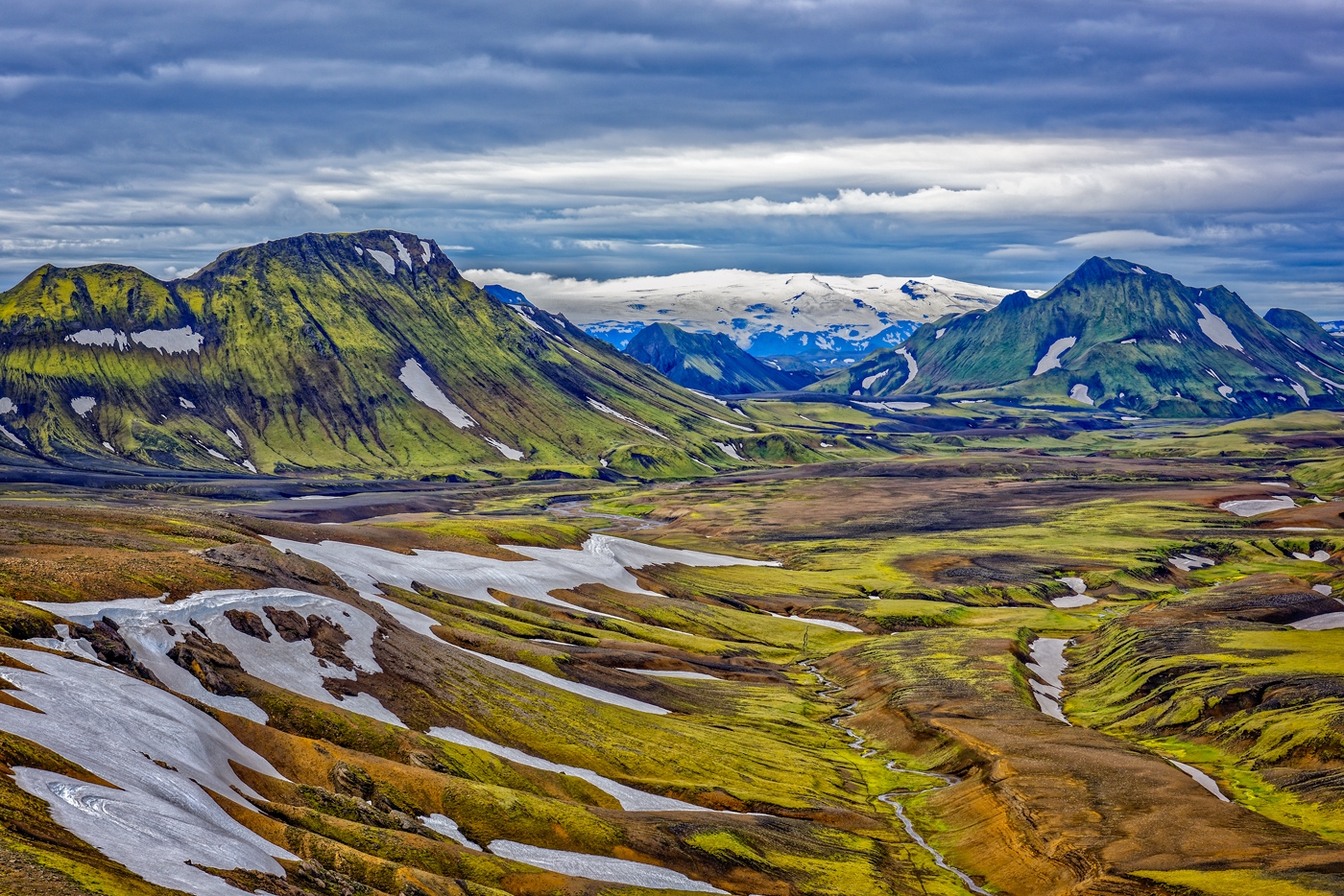 Earth Tones and Shades of Green by John McGarry