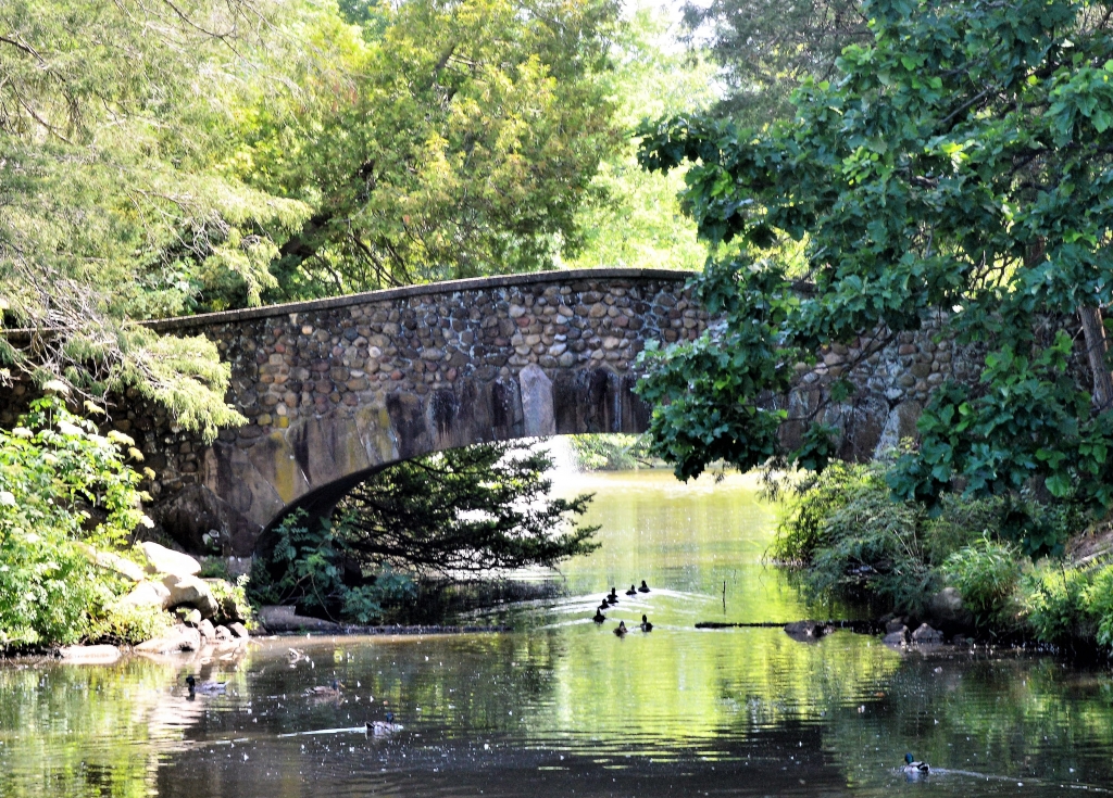 Elizabeth Park Walkway by Charles Hall