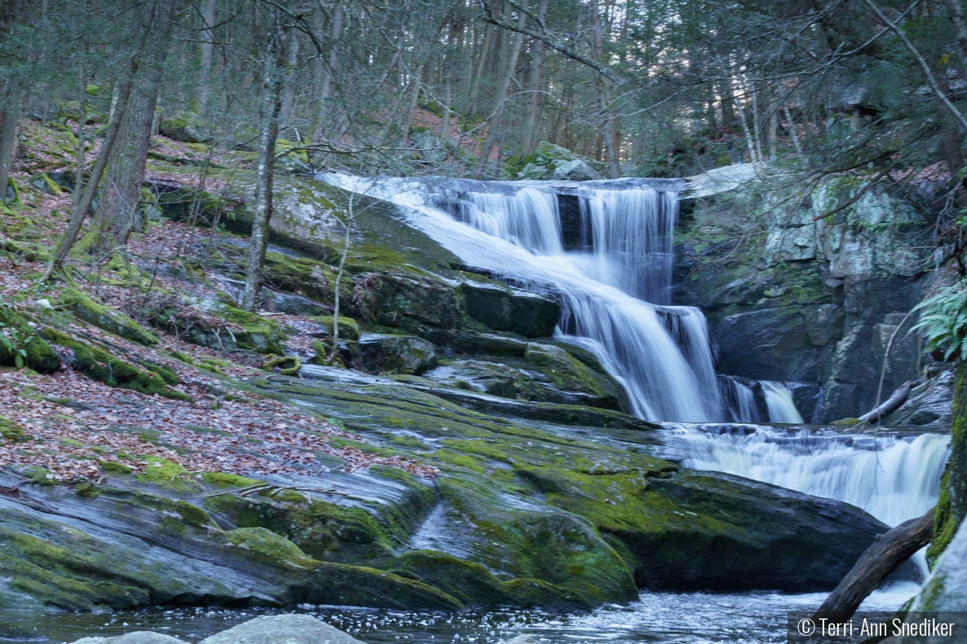 Enders Falls by Terri-Ann Snediker