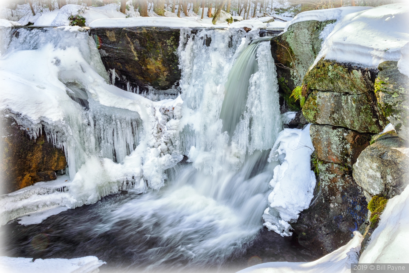 Enders in February by Bill Payne