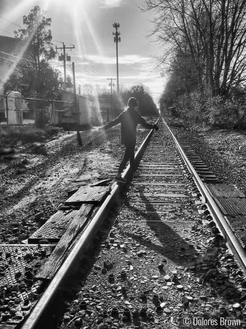 Exploring an Abandoned Railway by Dolores Brown