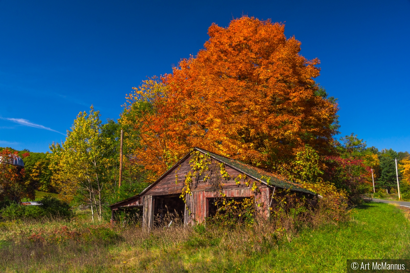 Faded Glory by Art McMannus