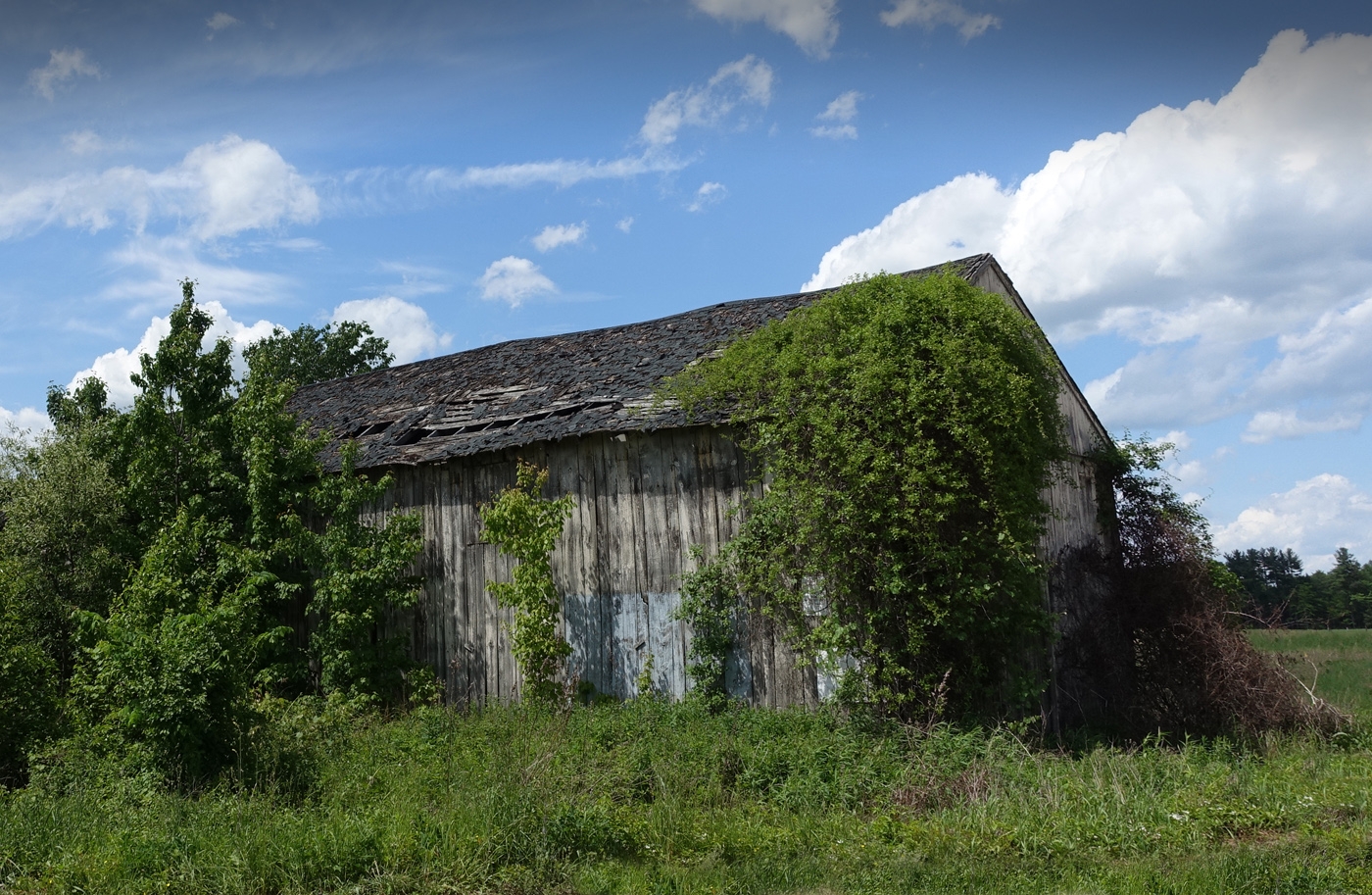 Failed Roof by Bruce Metzger