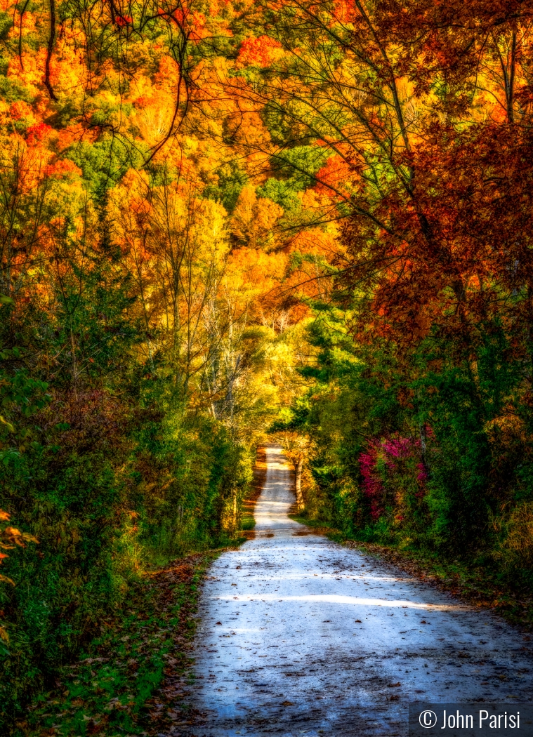 Fall afternoon 2019 by John Parisi