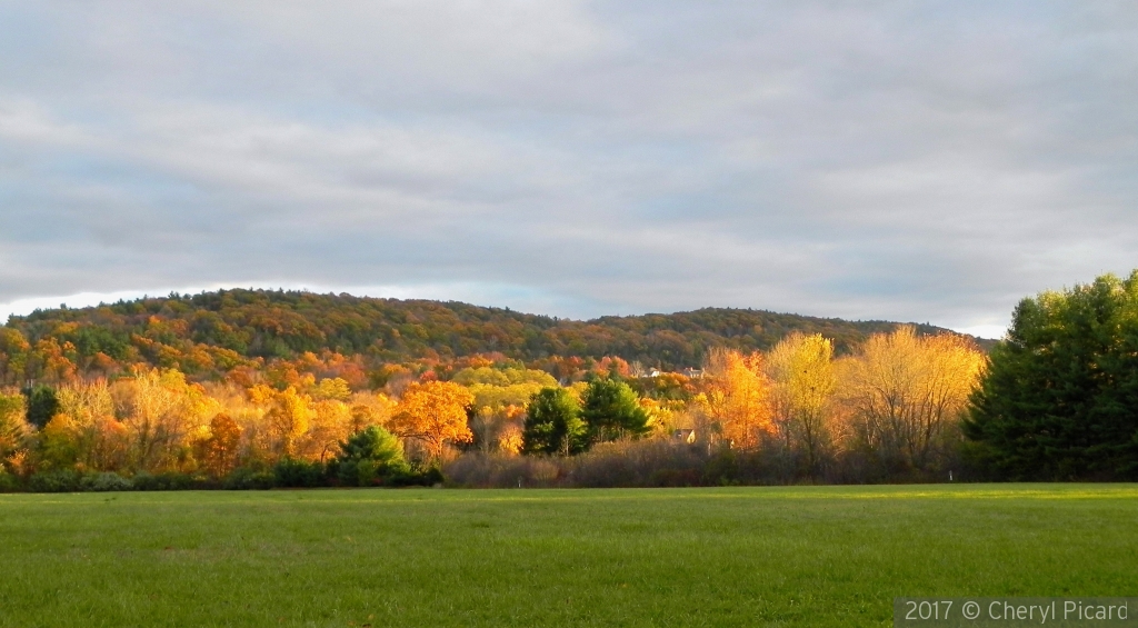 Fall Evening by Cheryl Picard