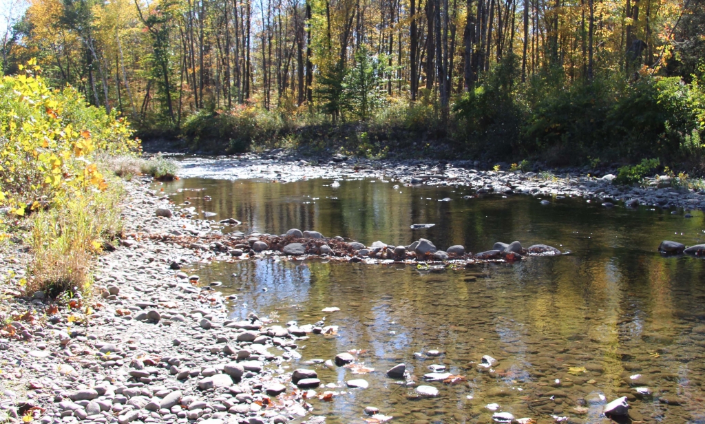 Fall in Massechusetts by Harold Grimes