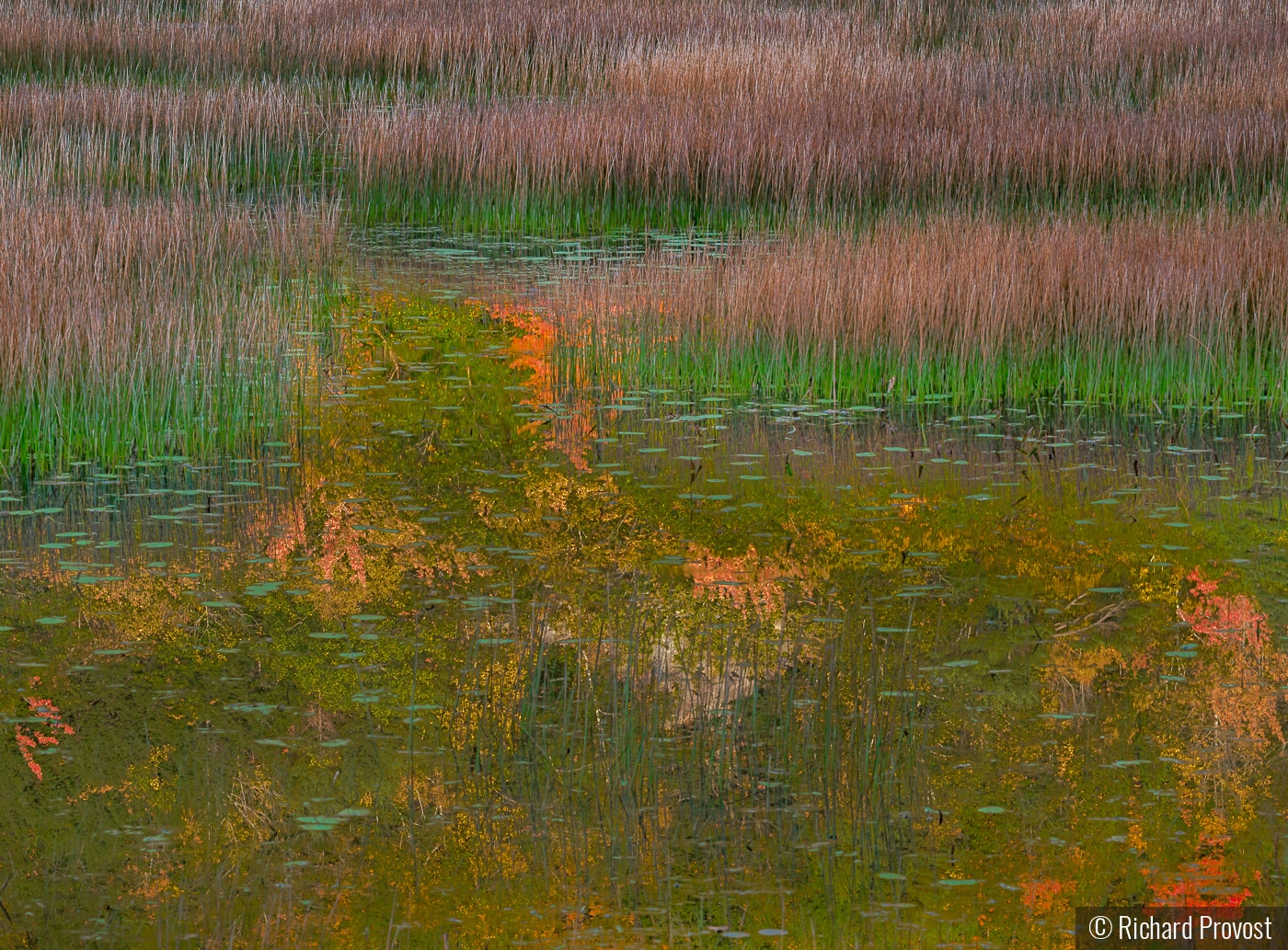 Fall reflections in Maine by Richard Provost