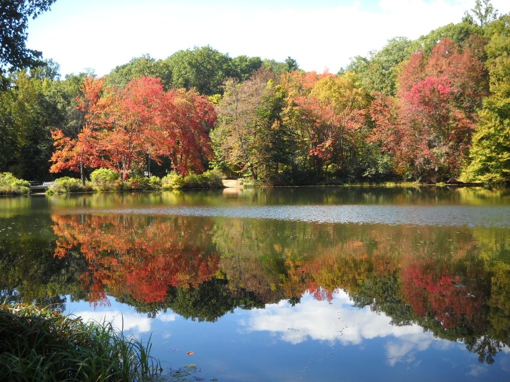 Fall Reflections by James Haney