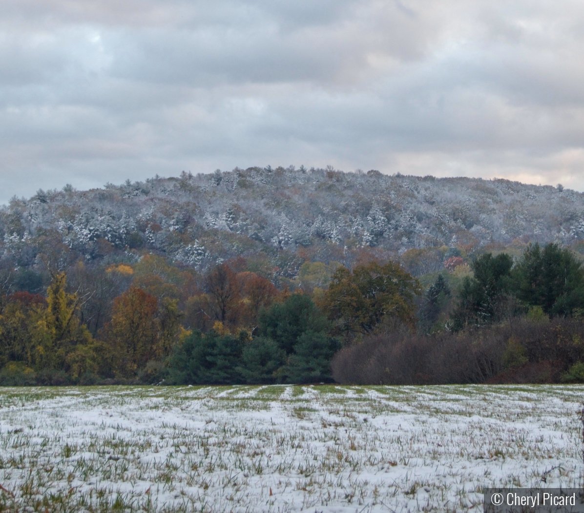 Fall Snow by Cheryl Picard