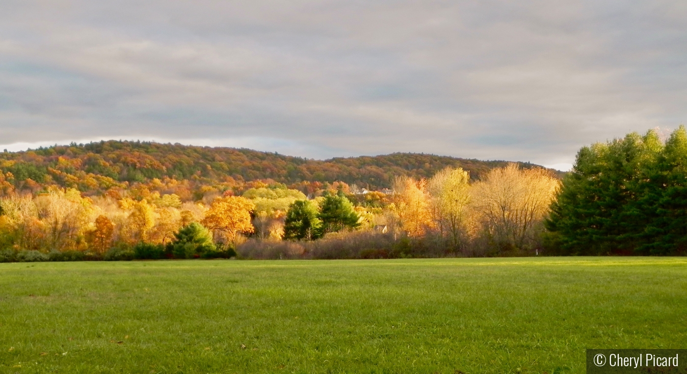 Fall Splendor by Cheryl Picard