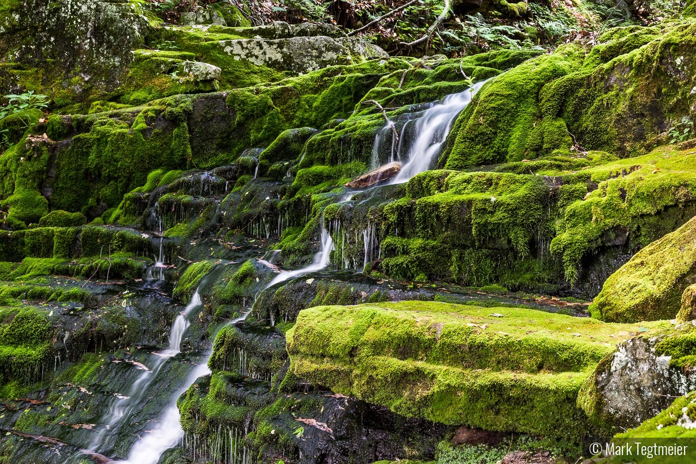 Falls Brook Falls by Mark Tegtmeier