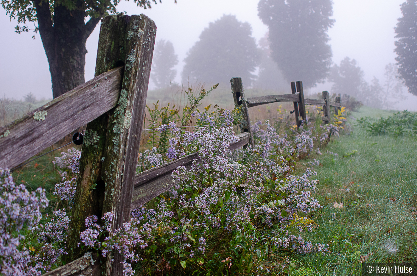 Fence line and flowers by Kevin Hulse