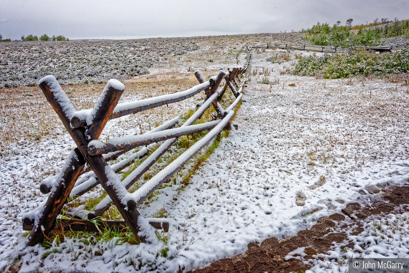 Fence Line by John McGarry