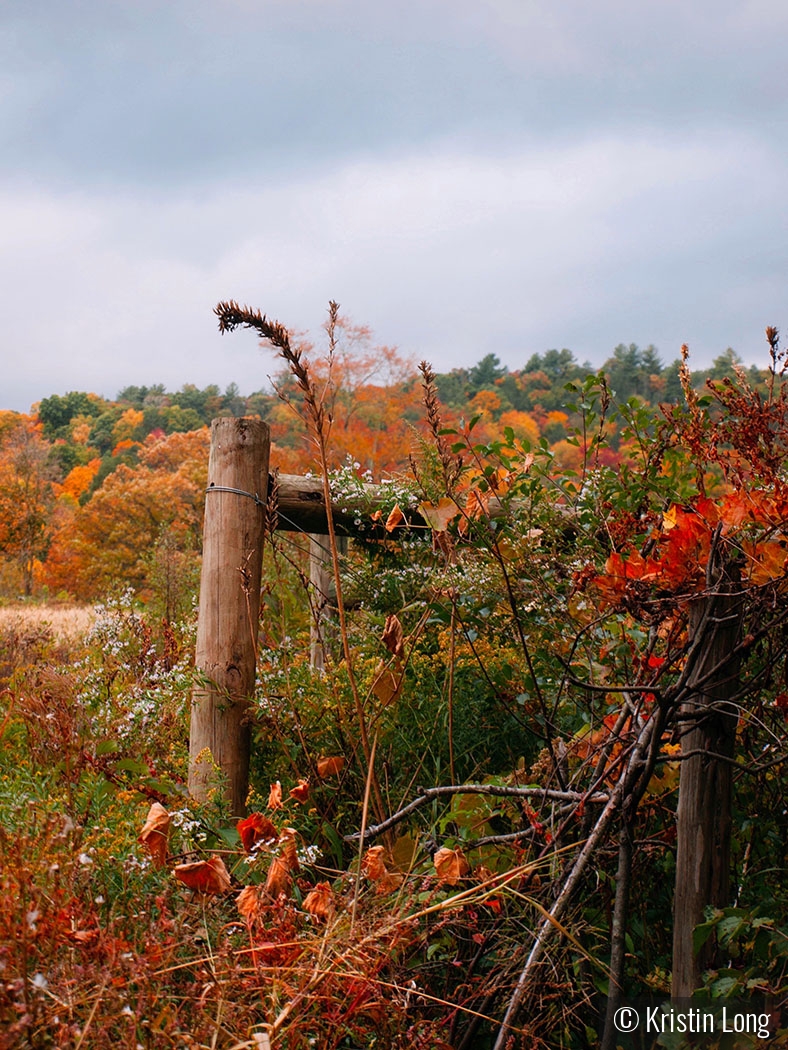 Fence Post by Kristin Long