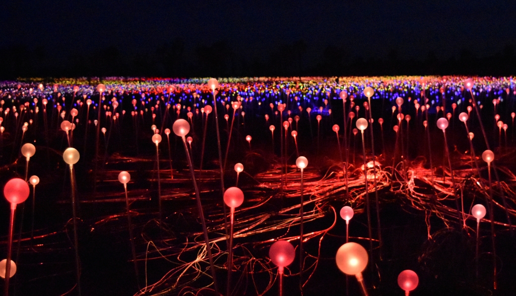 Field of Light - Bruce Munro Art Installation, Uluru, Australia by Susan Case