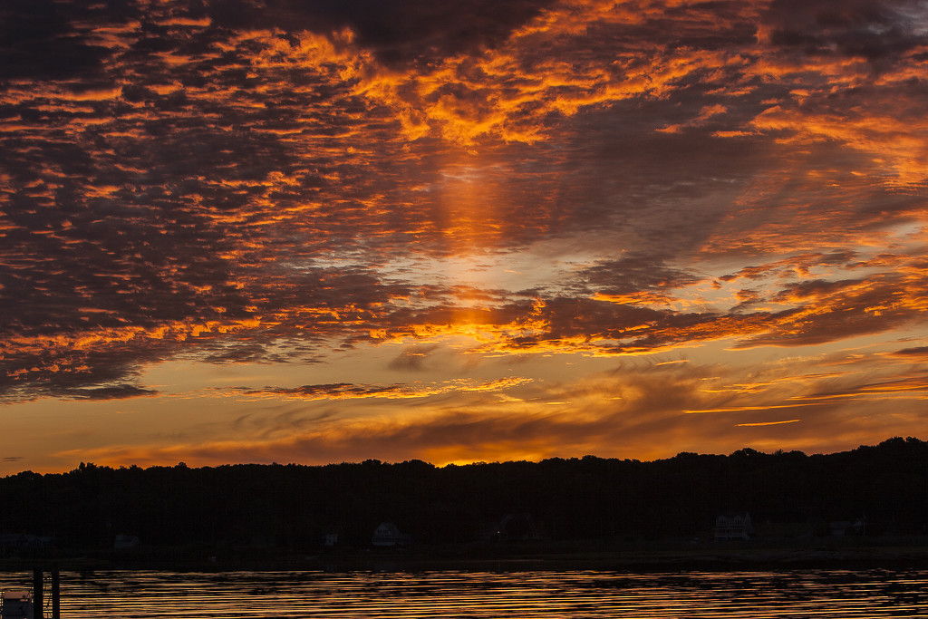 Fire Canopy - Photo by René Durbois