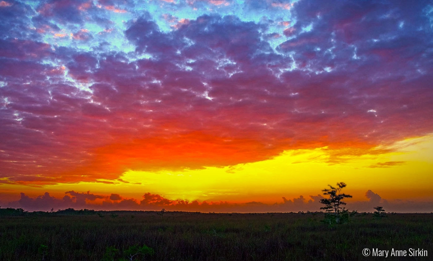 Fire on the Plain by Mary Anne Sirkin