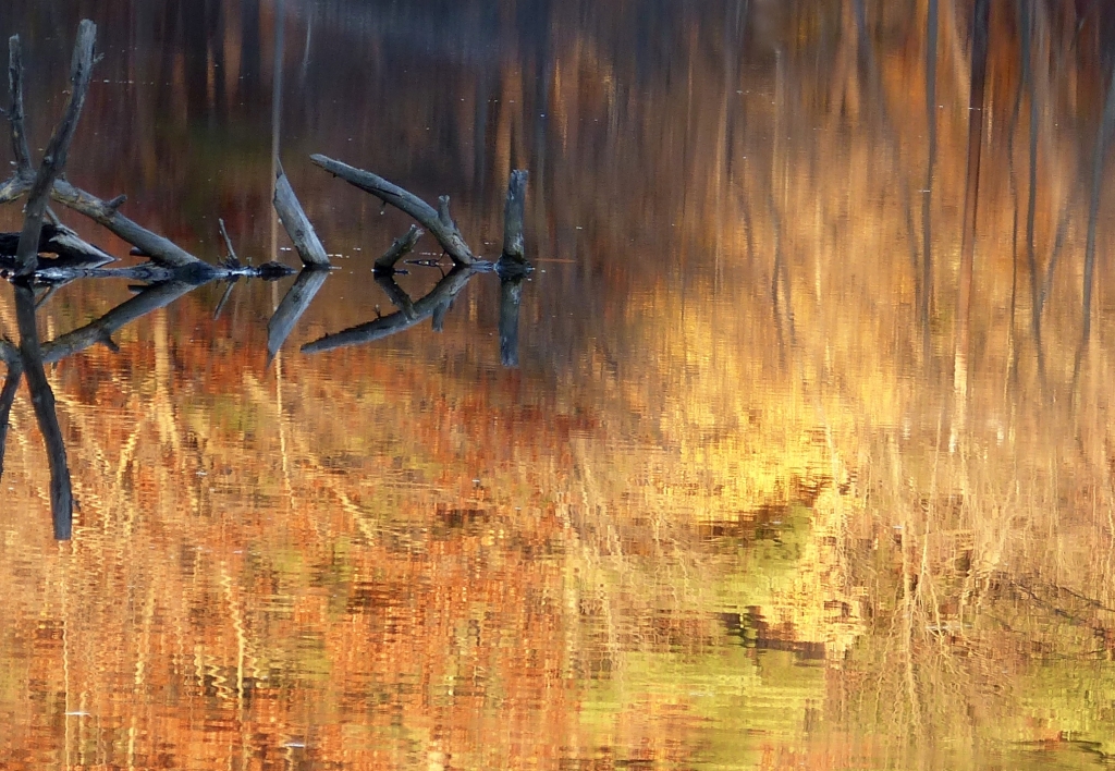 Fire on Water by Gary Gianini