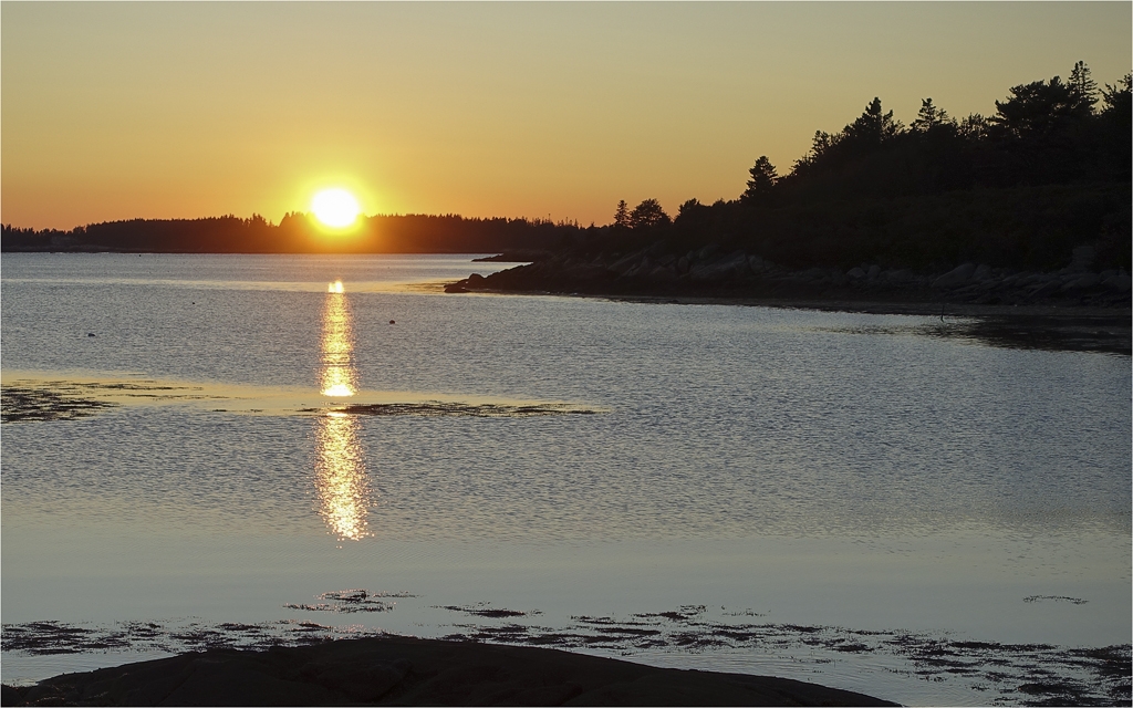 First Light Clark Island Maine by Bruce Metzger