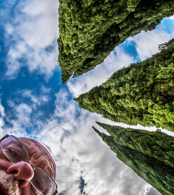 Fisheye Firs and Fool With Furrowed Forehead by J. John Straub