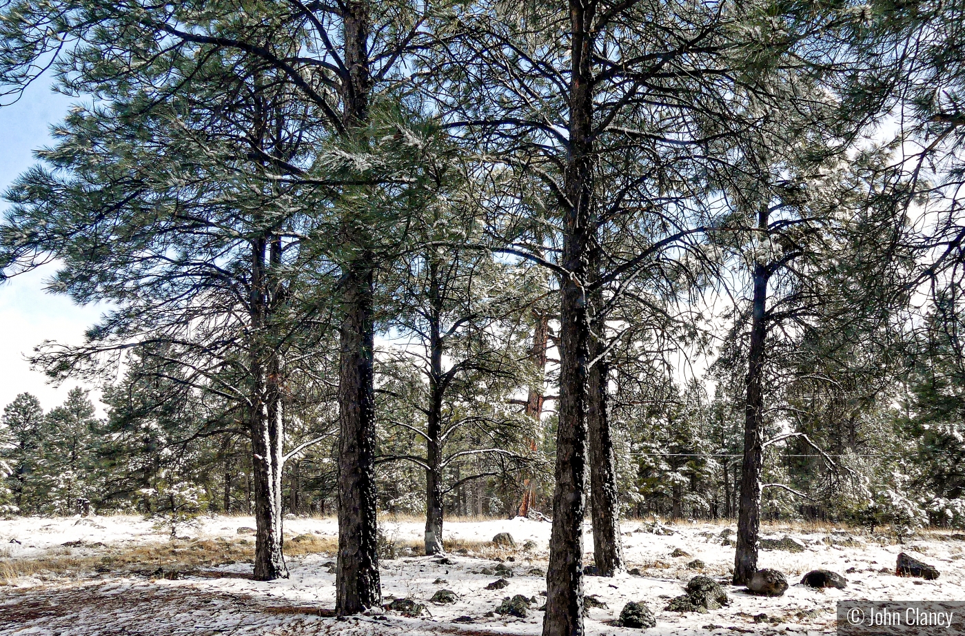 Flagstaff Winter by John Clancy