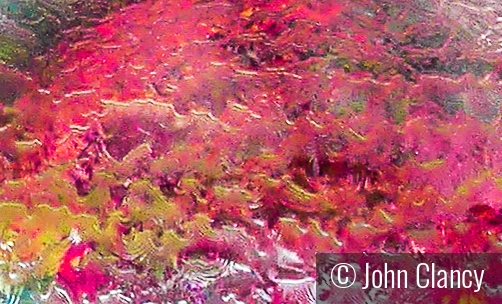 Flowers in a globe by John Clancy