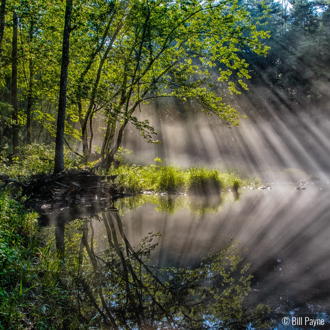 Fog lifting off of the Farmington River by Bill Payne