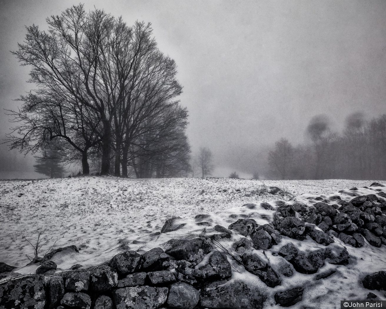 Foggy Colebrook morning by John Parisi