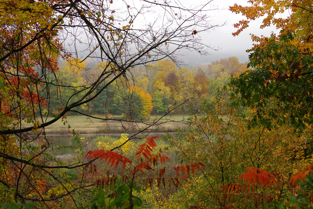 Foggy Day by Marylou Lavoie