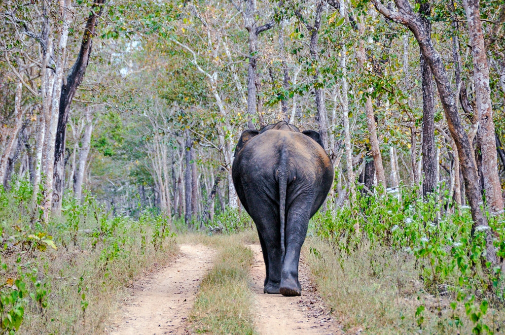 Follow me if you dare... by Aadarsh Gopalakrishna