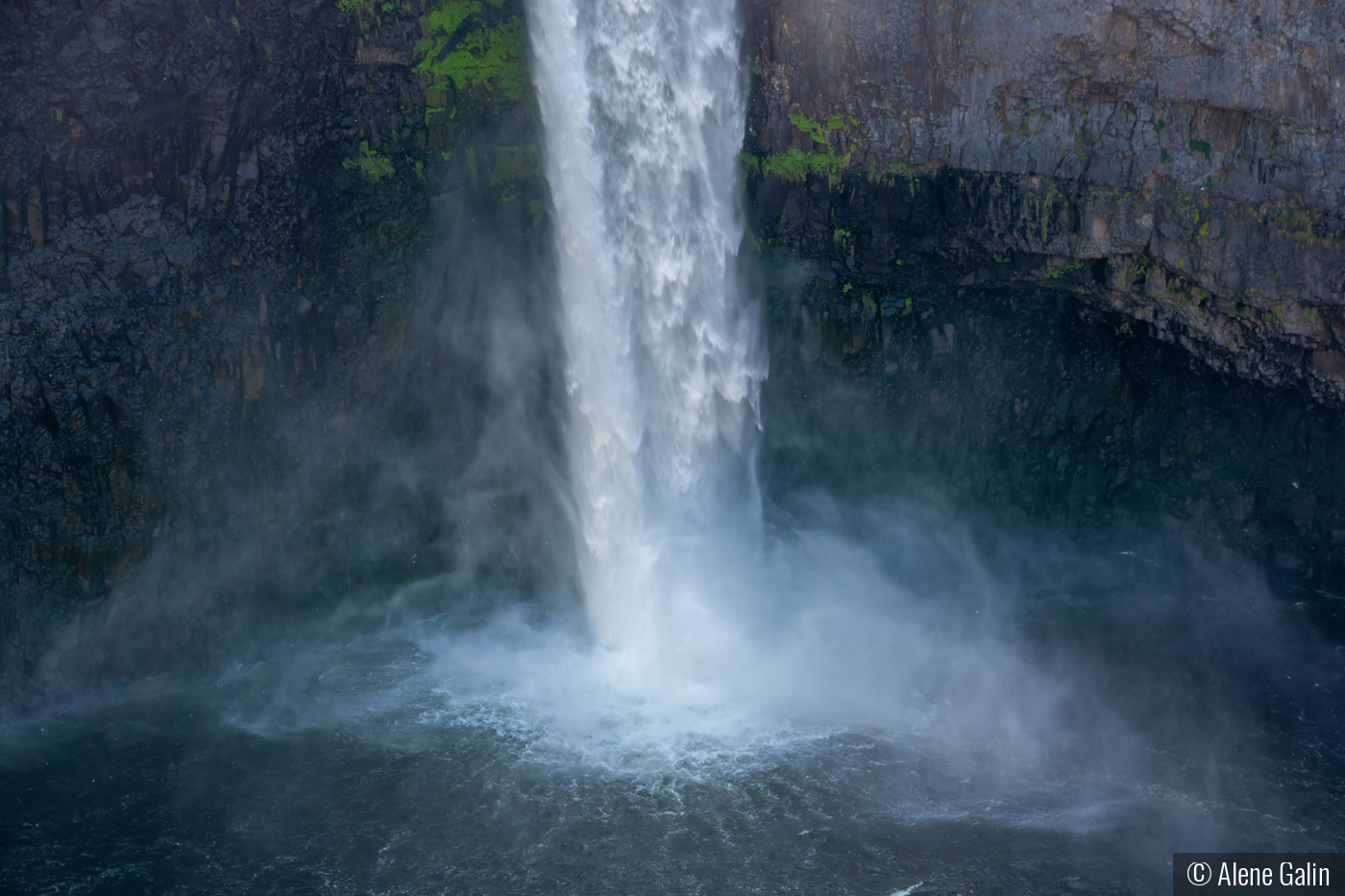 Force of Nature by Alene Galin