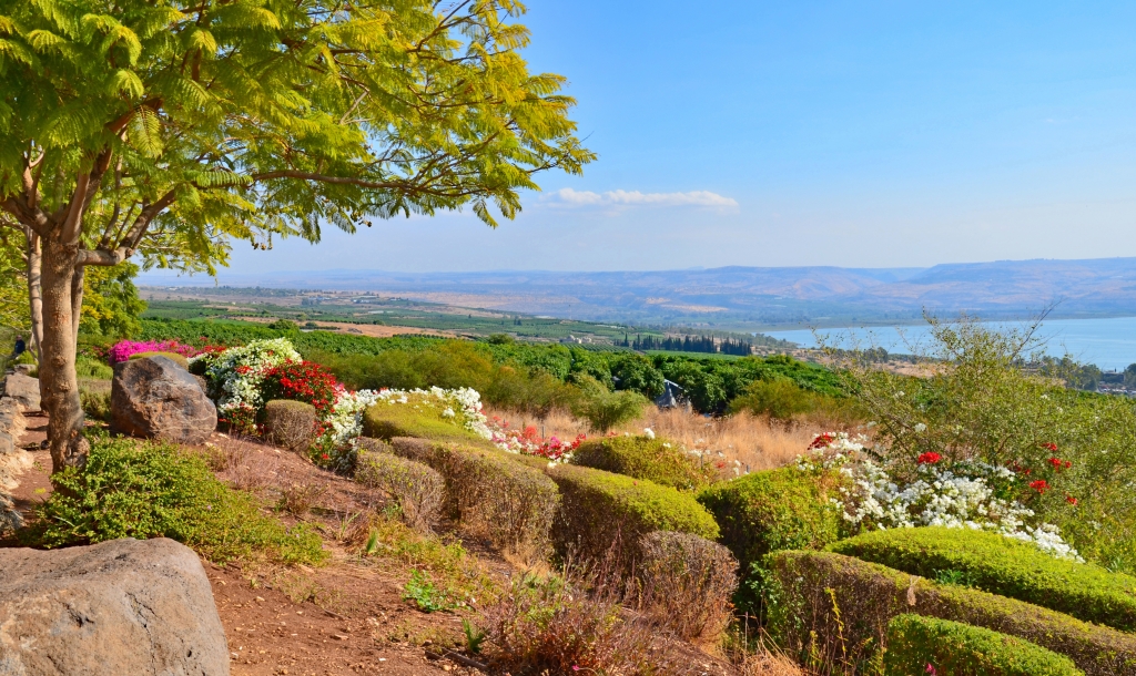 Garden Above Sea Of Gallilee by Lou Norton