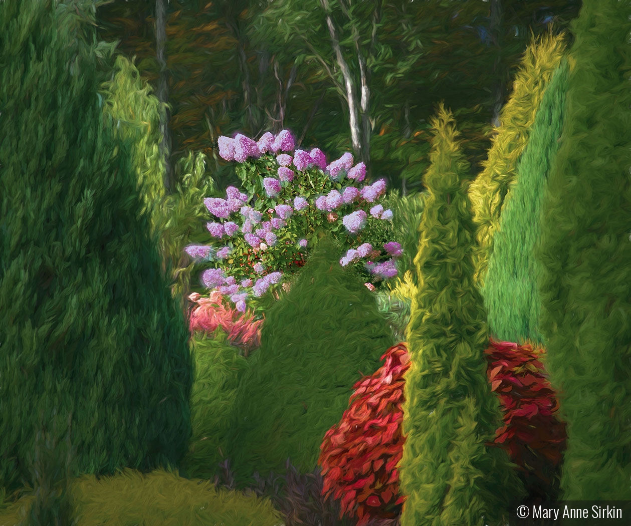 Garden Fantasy by Mary Anne Sirkin