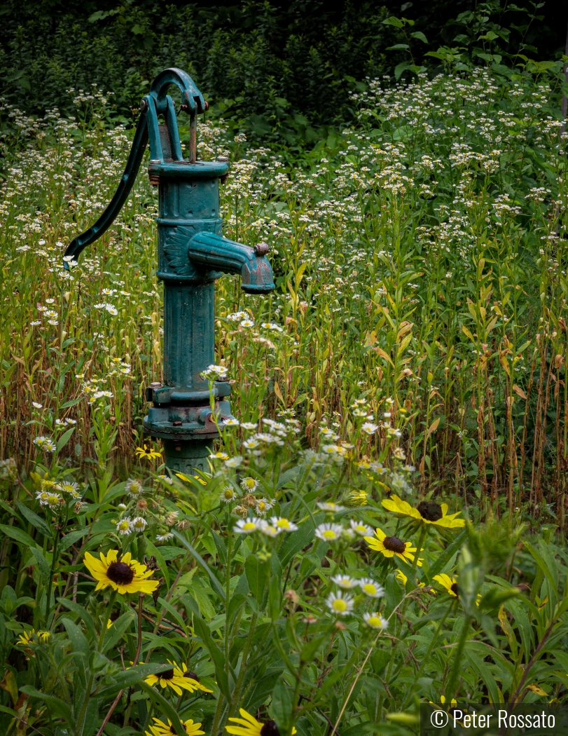 Garden Scene by Peter Rossato