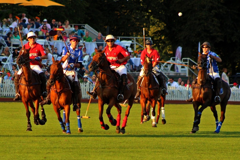 Get the Ball - Photo by Bill Latournes