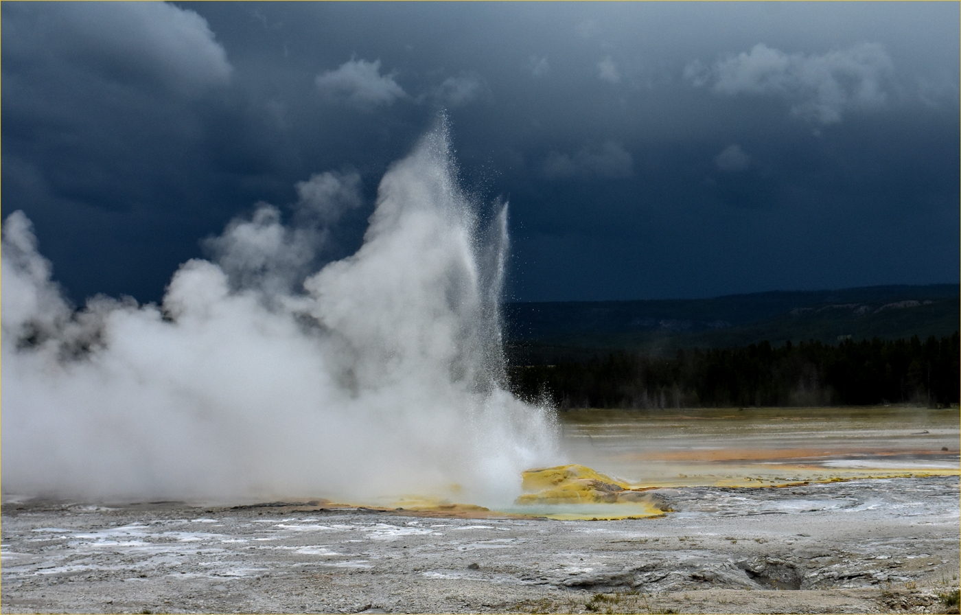 Geyser by Susan Case