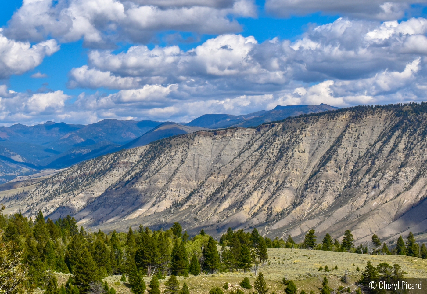 Go West by Cheryl Picard