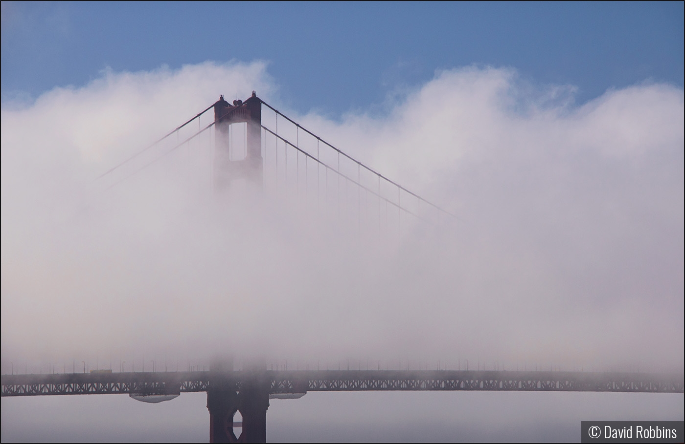 Golden Gate from The Presidio , San Francisco by David Robbins