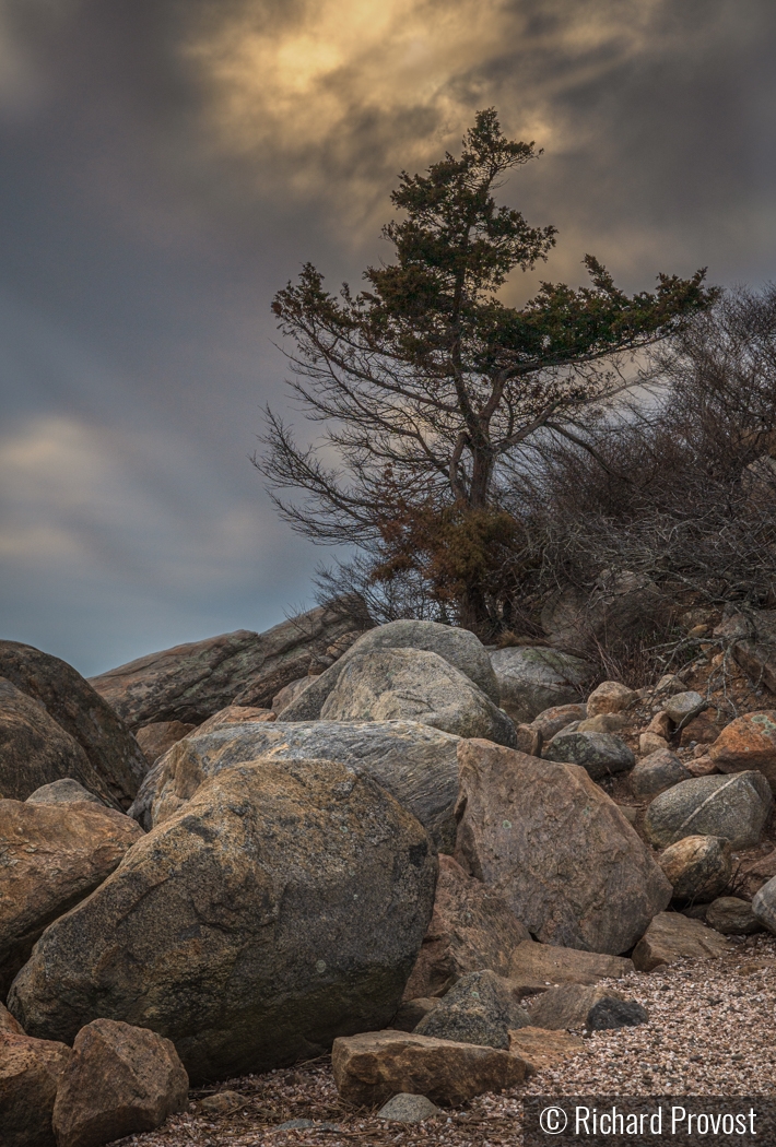 Golden hour at Meigs Point by Richard Provost