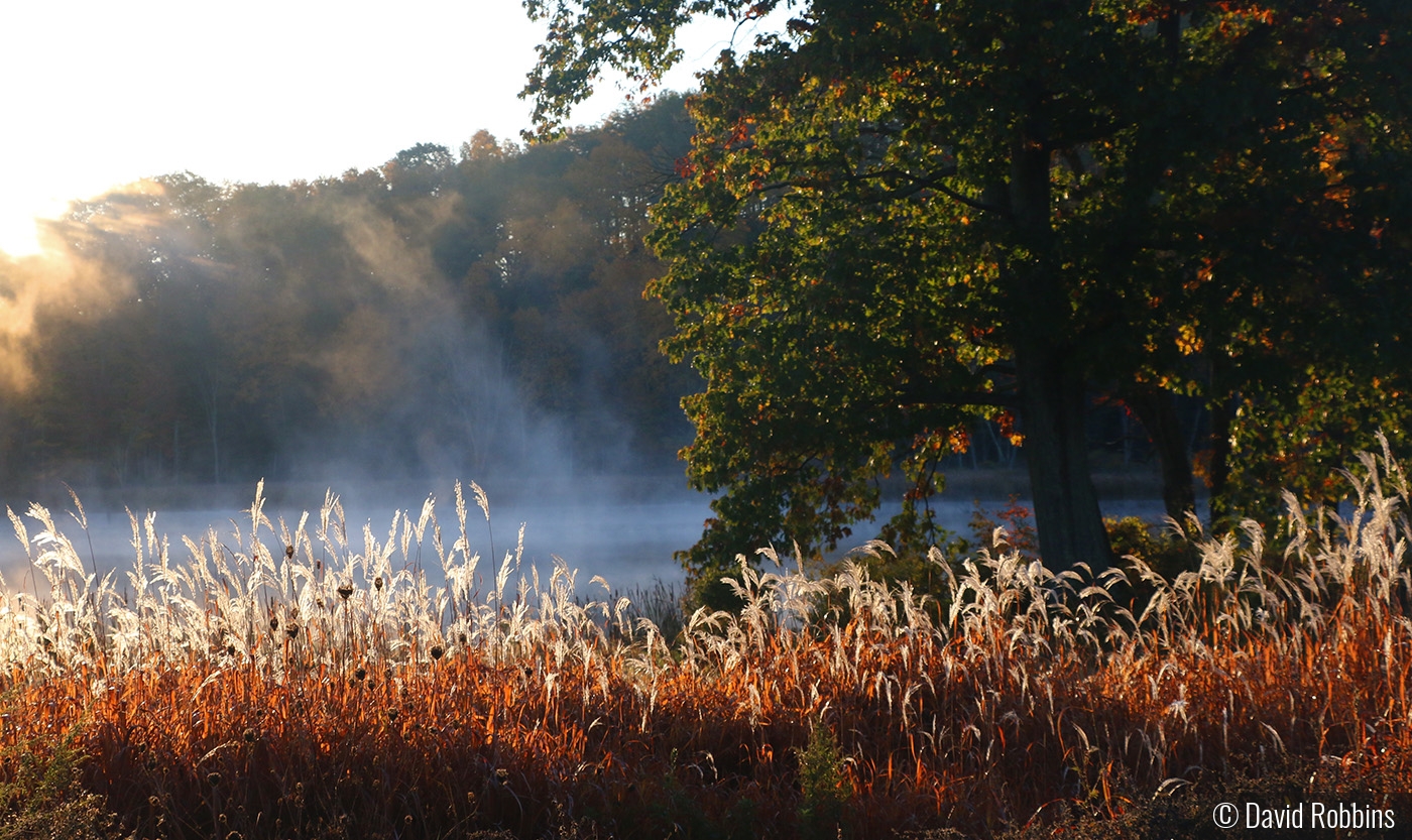 Granby Farm in morning by David Robbins