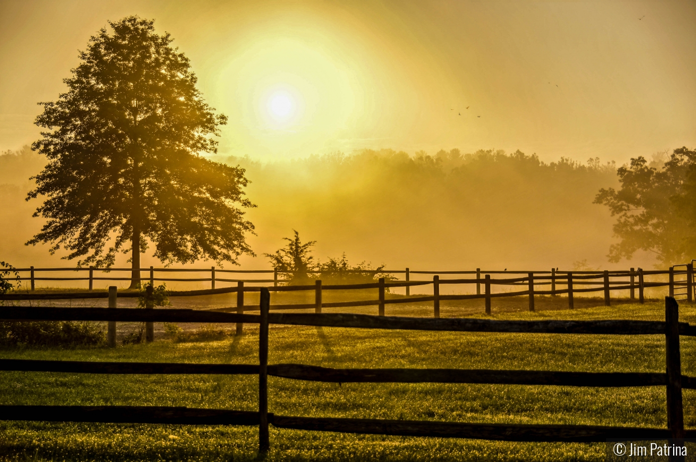 Granby Sunrise Mist by Jim Patrina