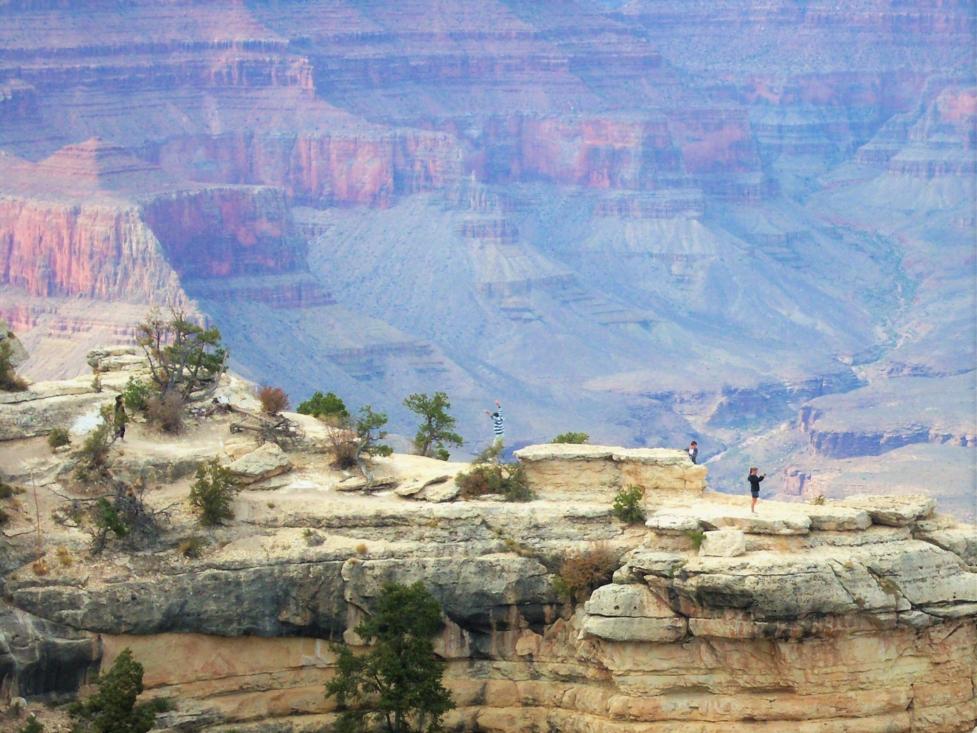 Grand Canyon View by Charles Hall