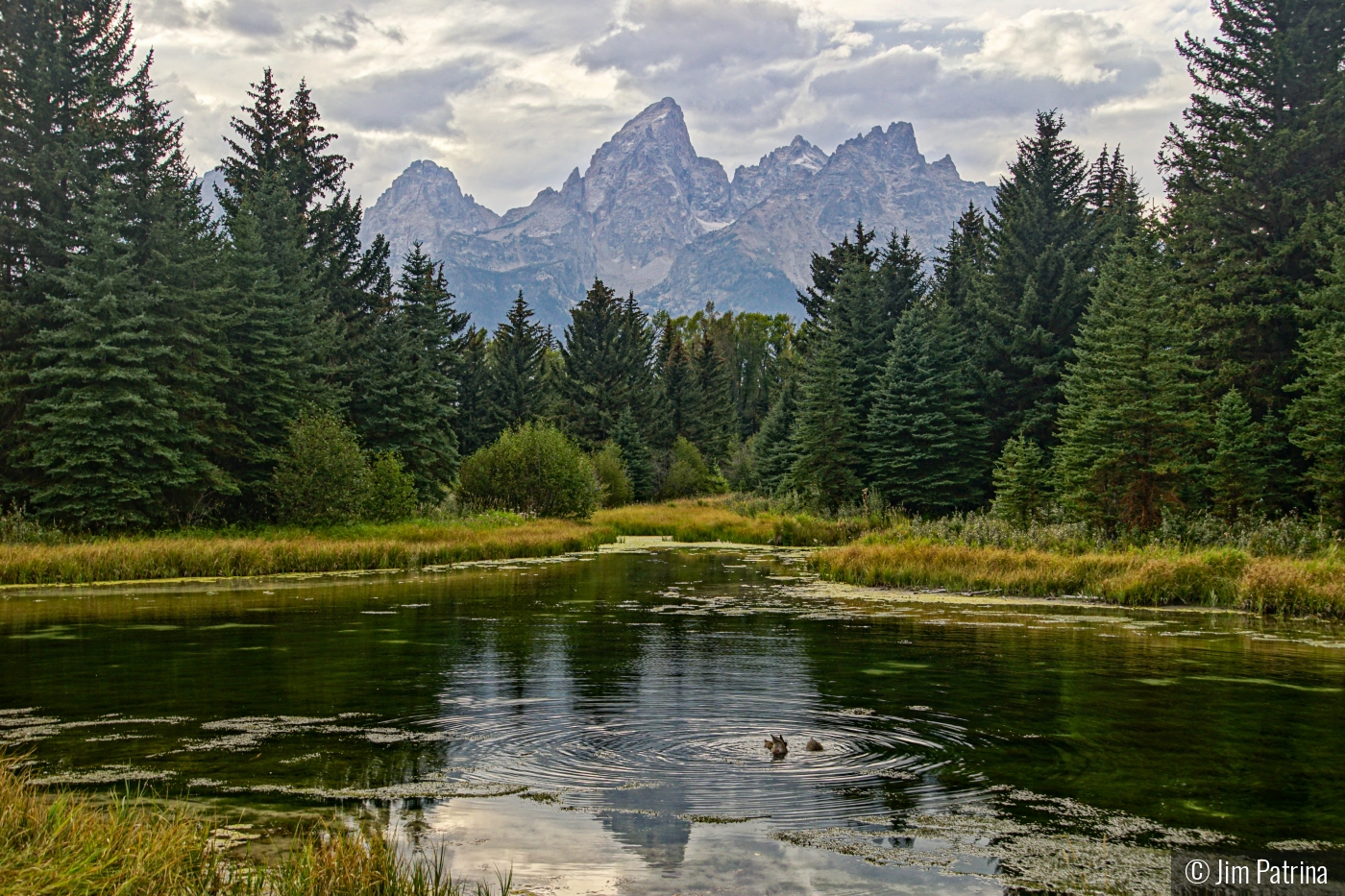 Grand Tetons by Jim Patrina