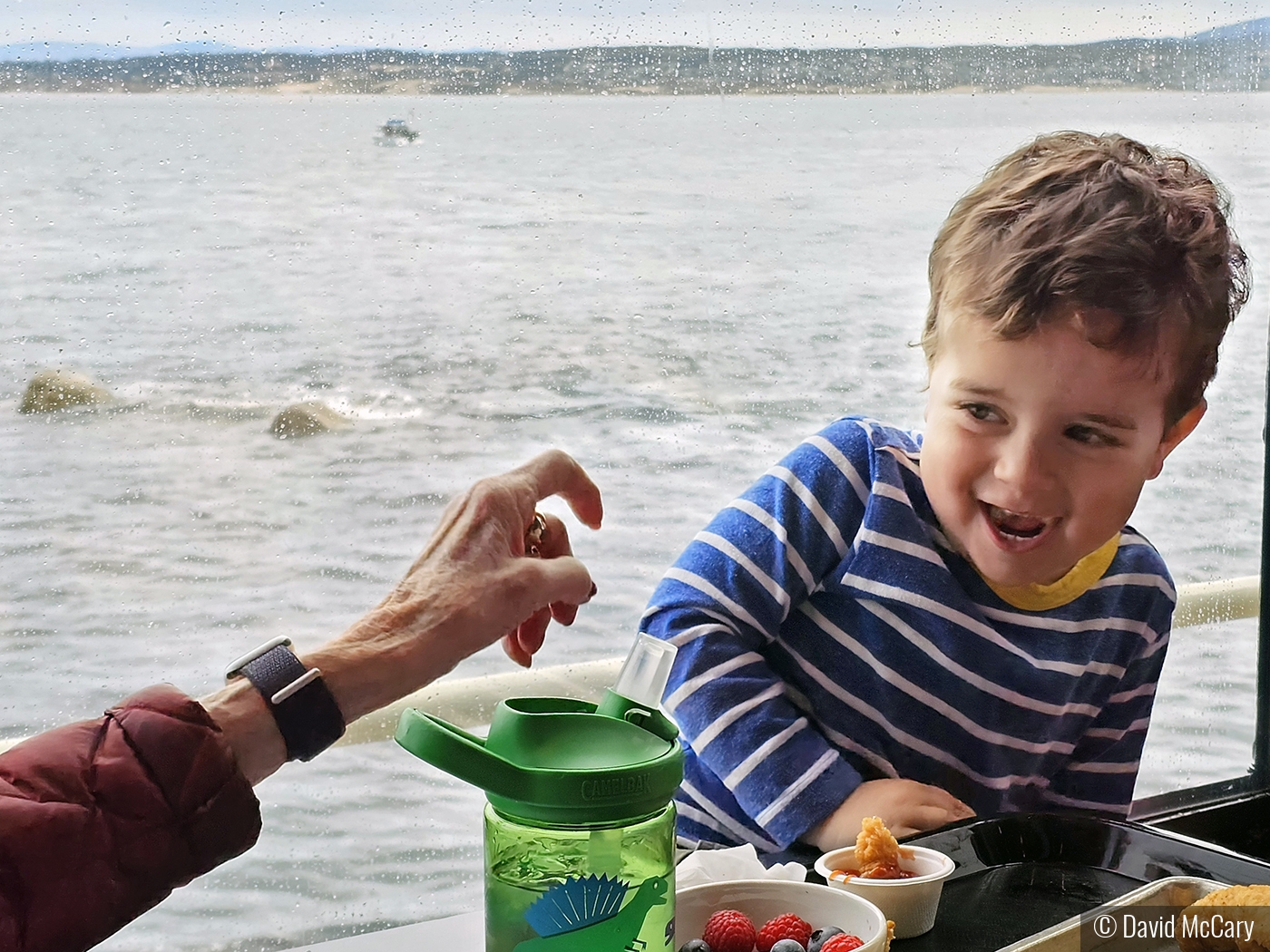 Great Grandma Claw Attack at Lunch by David McCary