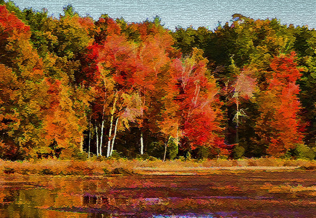 Great Pond by Bruce Metzger